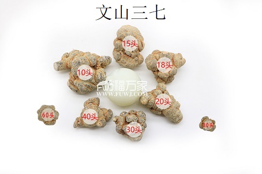 三七各種頭數(shù)